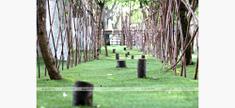 浙江省XXX市建筑設(shè)計(jì)。